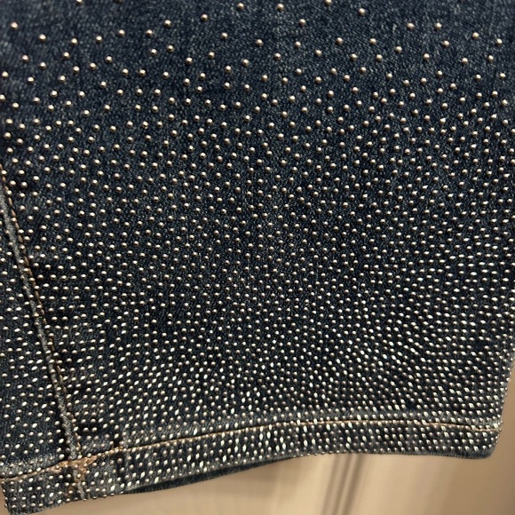 LANE BRYANT Embellished Jeans NWT - Picture 2 of 5